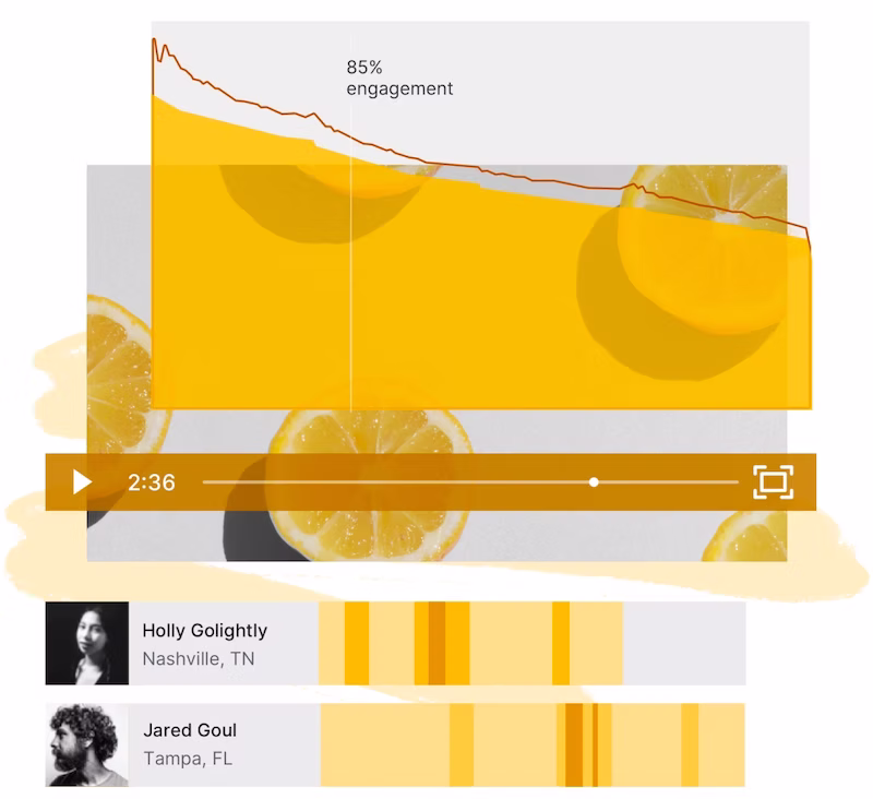 Wistia analytics